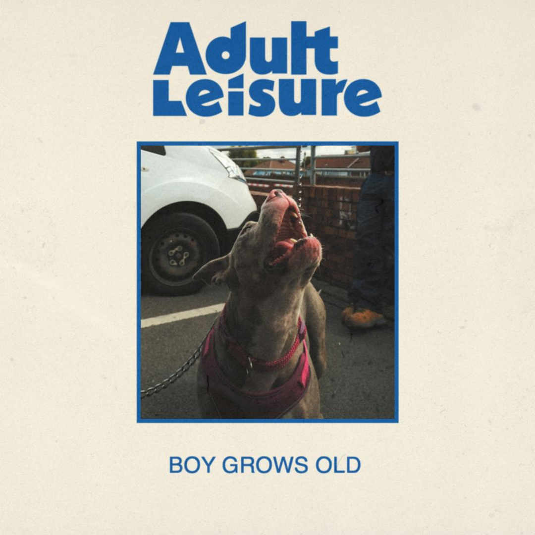 the Beat.ie - Adult Leisure
