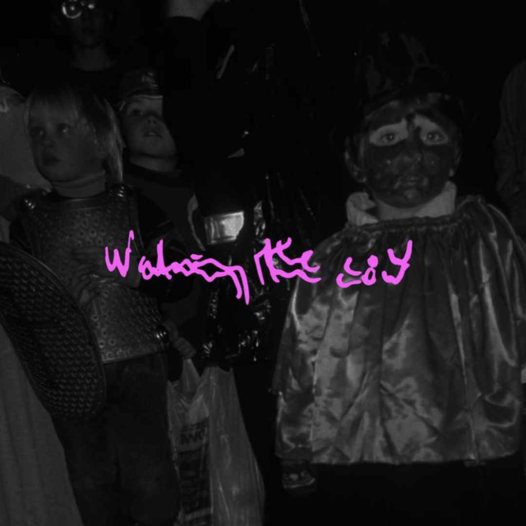 the Beat.ie - Walking The Cow