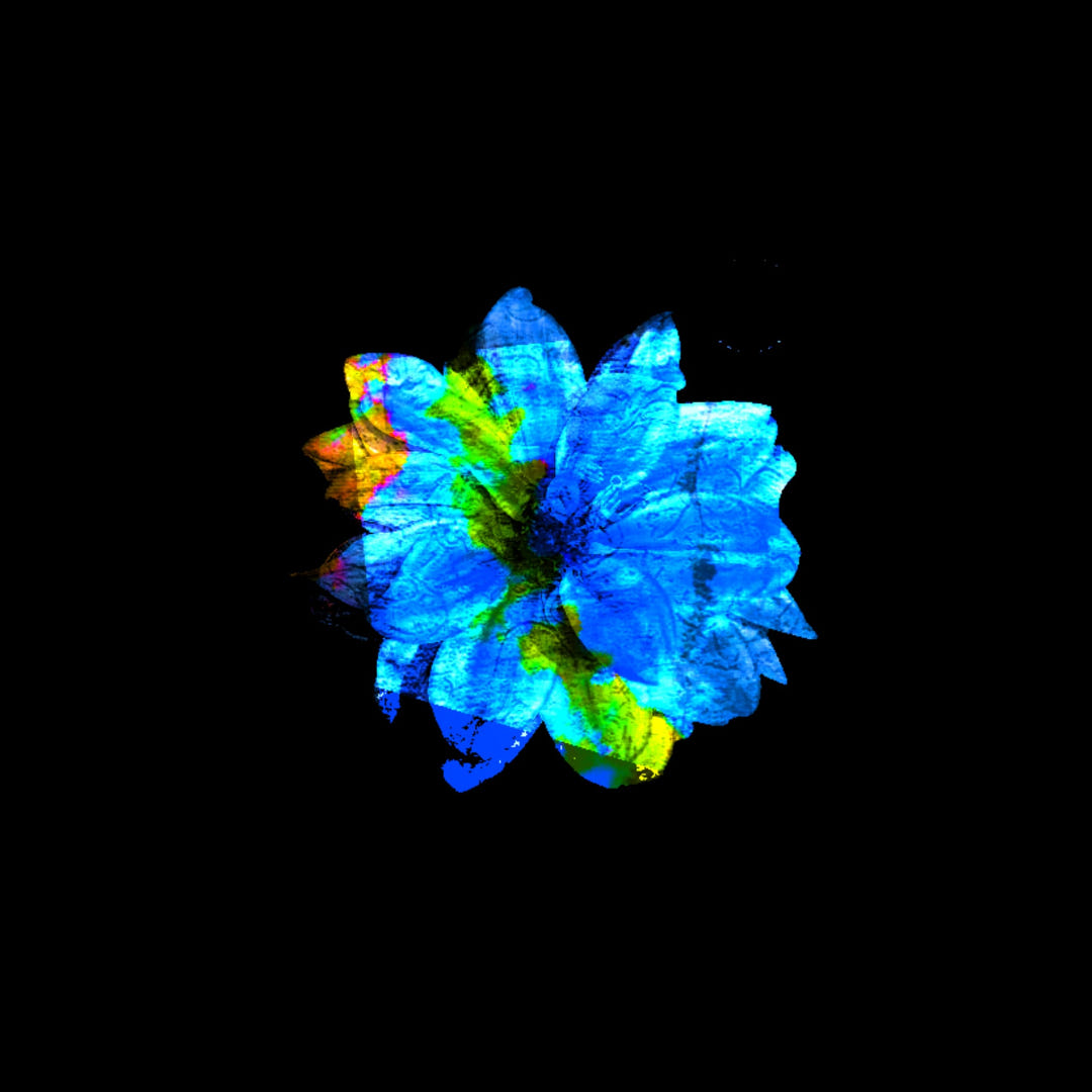Babyblue Cover Artwork