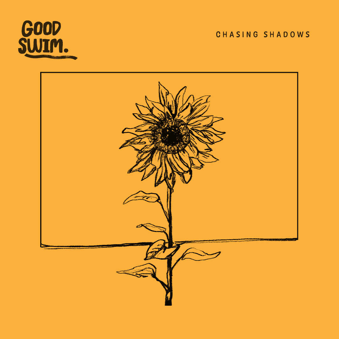 Chasing Shadows (Cover Artwork)