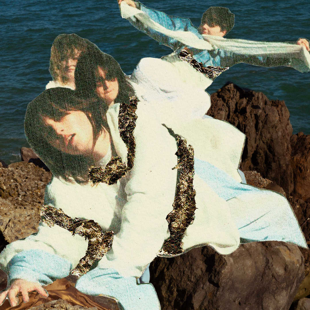 theBeat.ie - Baby Turtle