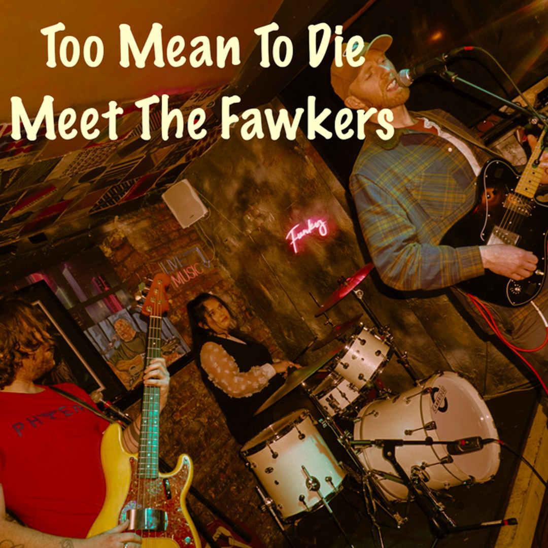 Meet The Fawkers
