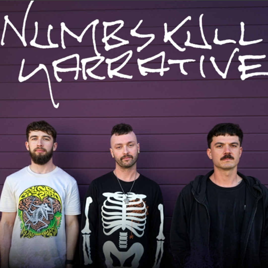 the Beat.ie - Numbskull Narrative