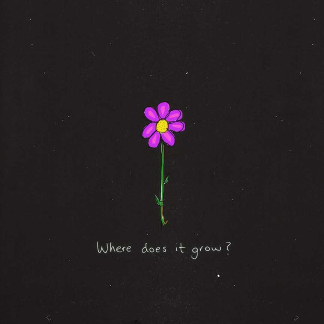 Where Does It Grow? (Cover Artwork)