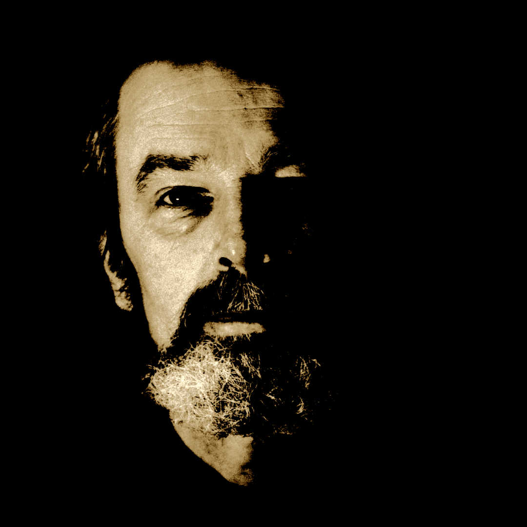 the Beat.ie - Rodney Owl