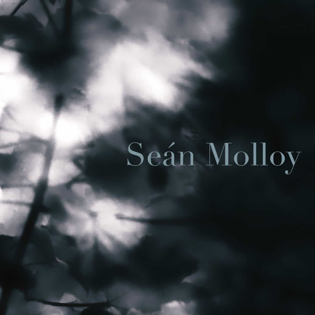 the Beat.ie - Sean Molloy