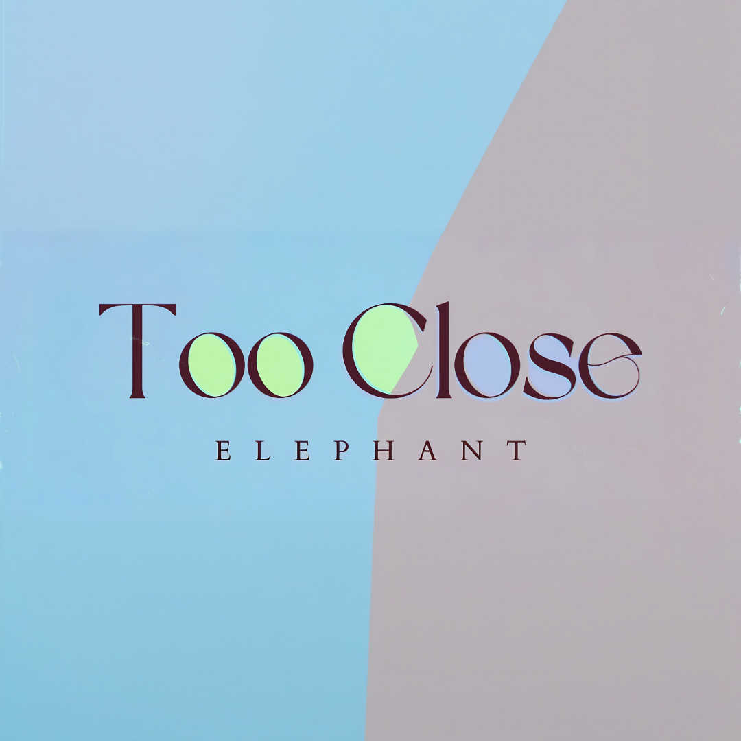 Elephant - Too Close